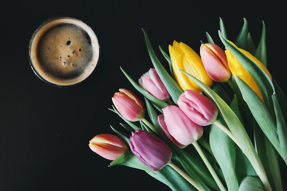 Fotografia em close-up de flores de tulipas de cores variadas