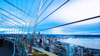 A vibrant city skyline view from a penthouse.