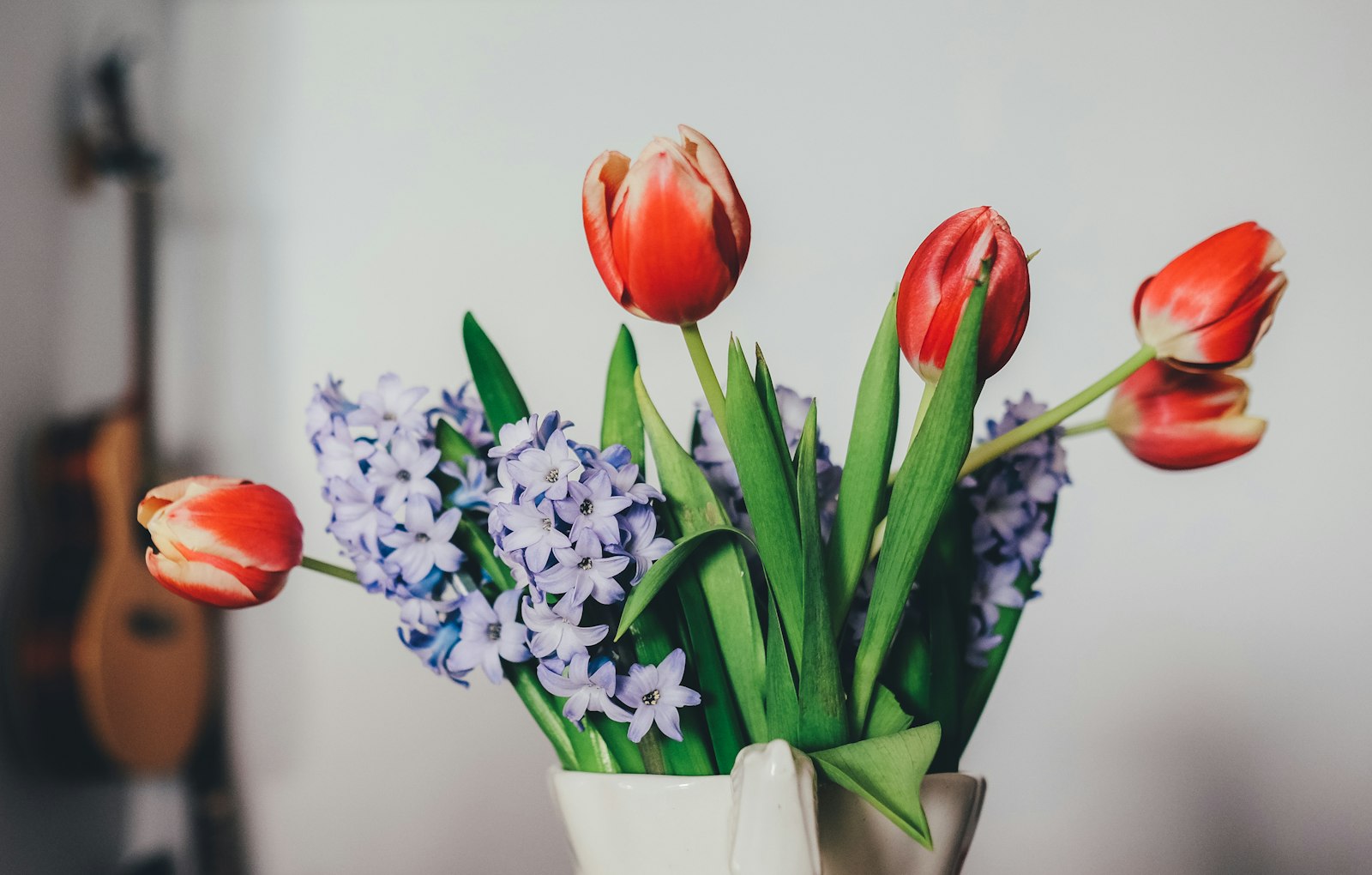 Fujifilm X-T1 + Fujifilm XF 23mm F1.4 R sample photo. Five red tulips photography