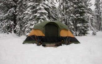 A tent is set up in a snowy forest, surrounded by tall pine trees laden with heavy snow. The tent is of a multi-colored design, primarily in shades of green and brown, blending into the wintry environment.