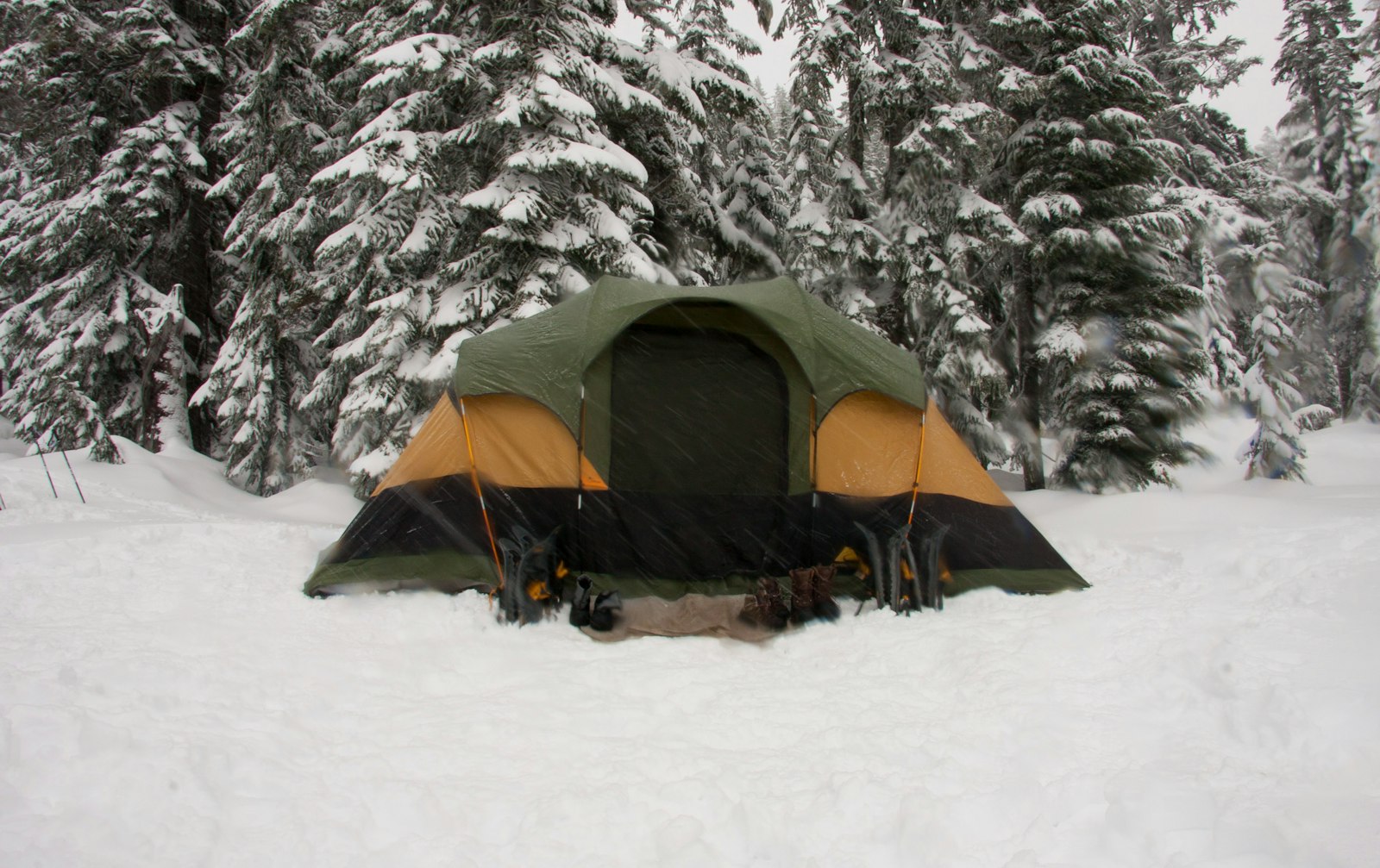 Winter Campout