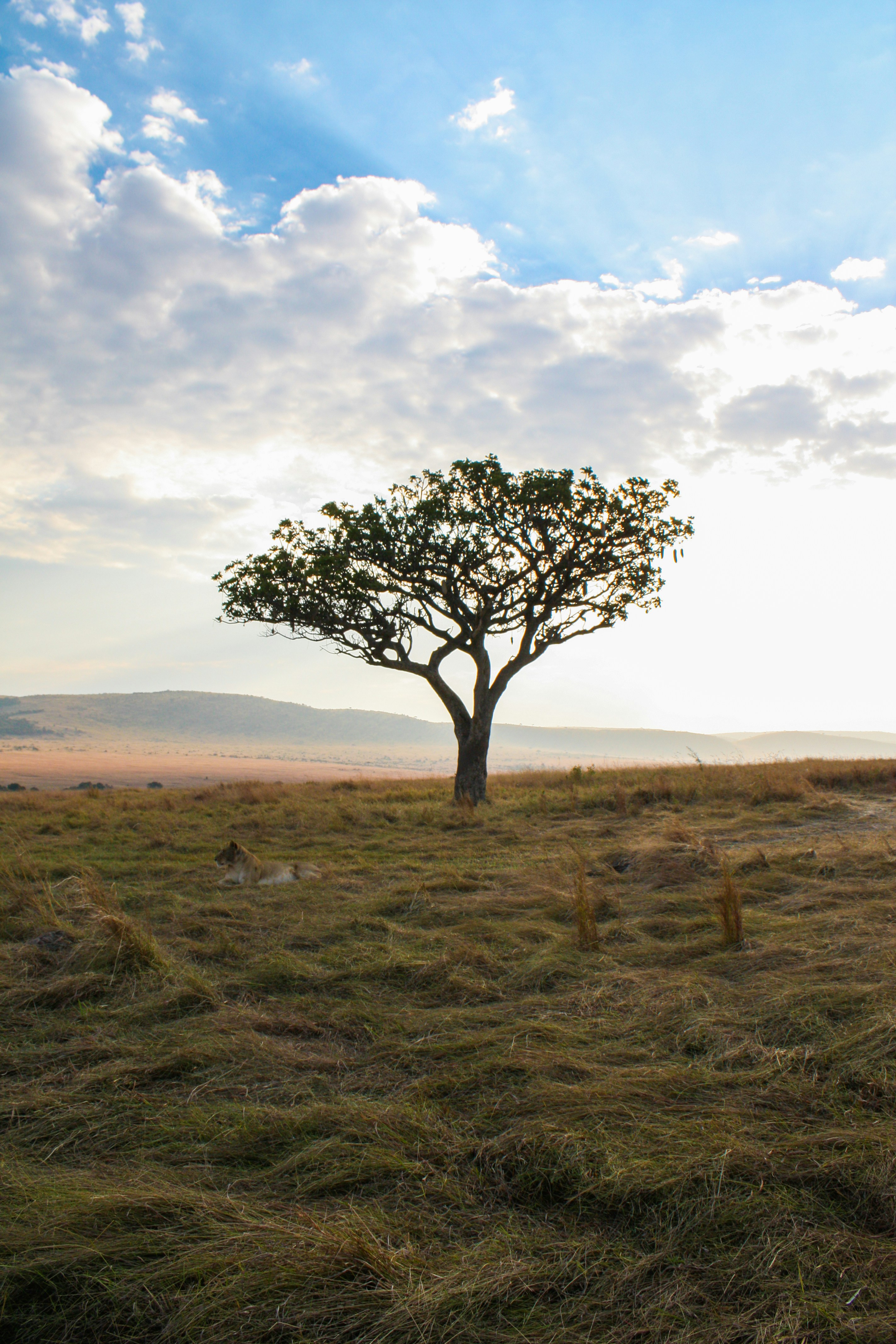 Free Unsplash photo from Keghan Crossland