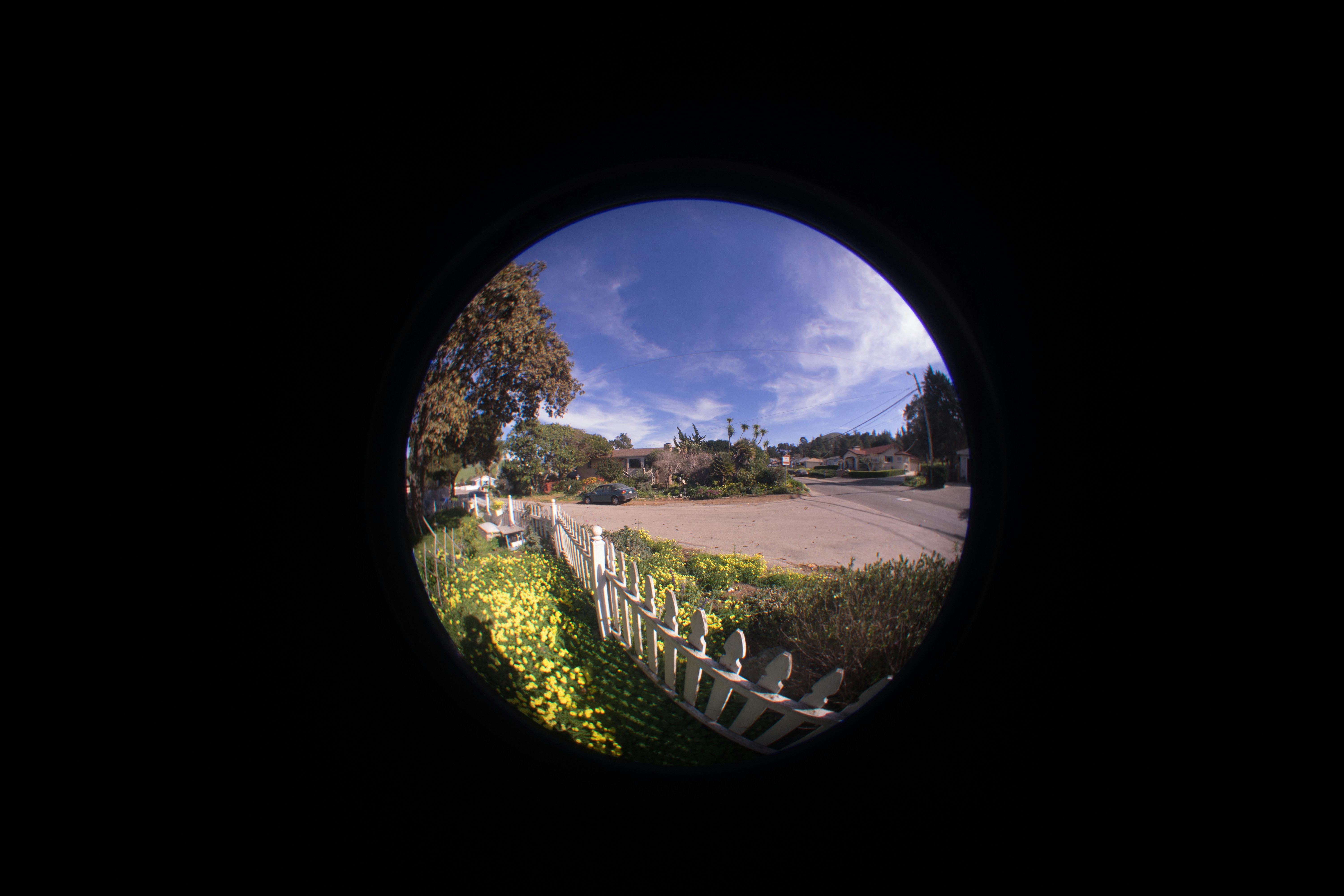 Free Unsplash photo from John Konrad