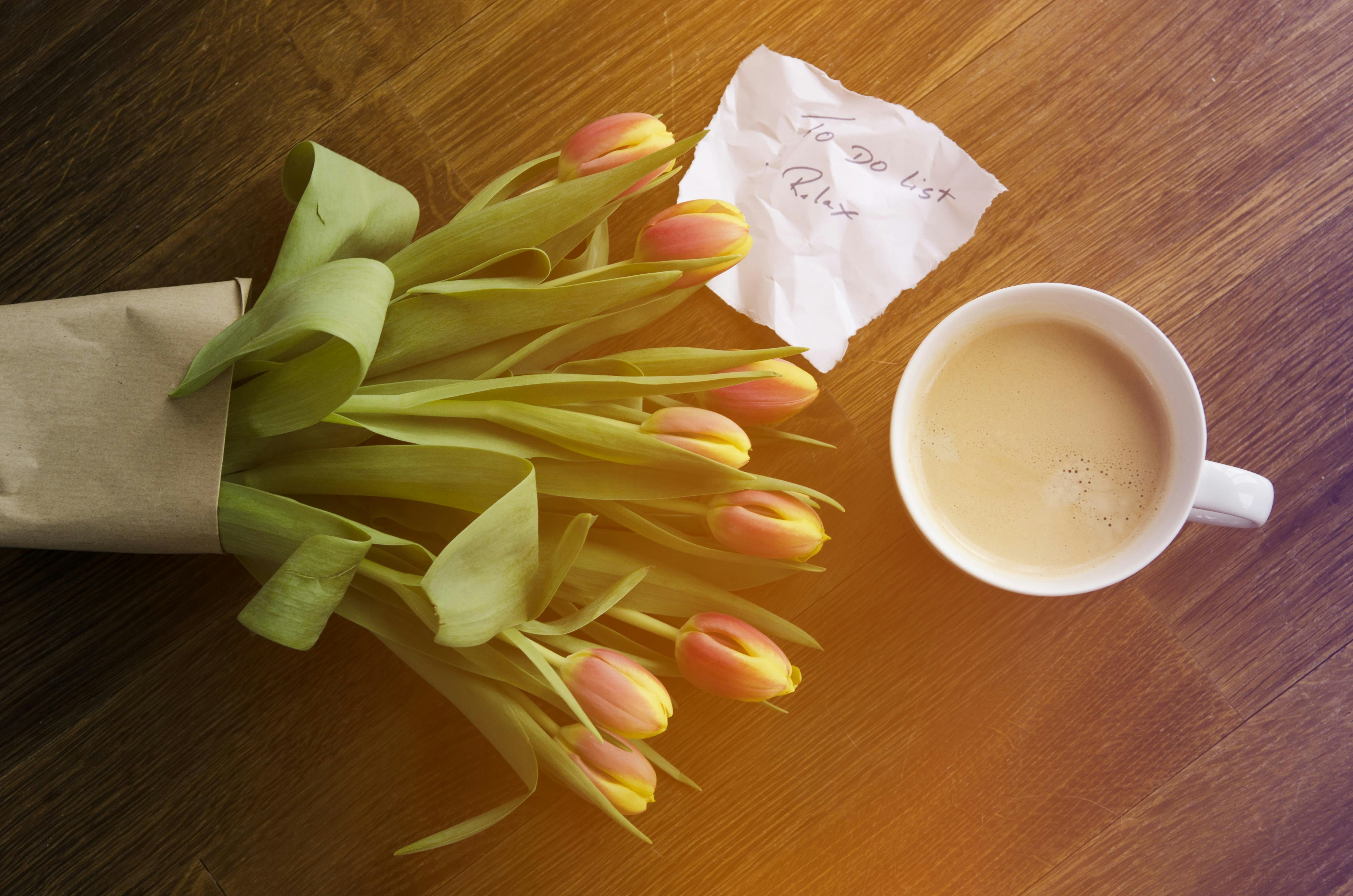 Free Unsplash photo from Nadine Meyer