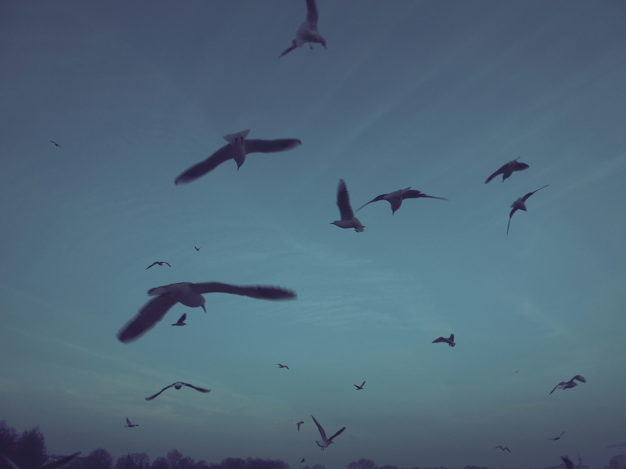 Free Unsplash photo from Florian Schleinig