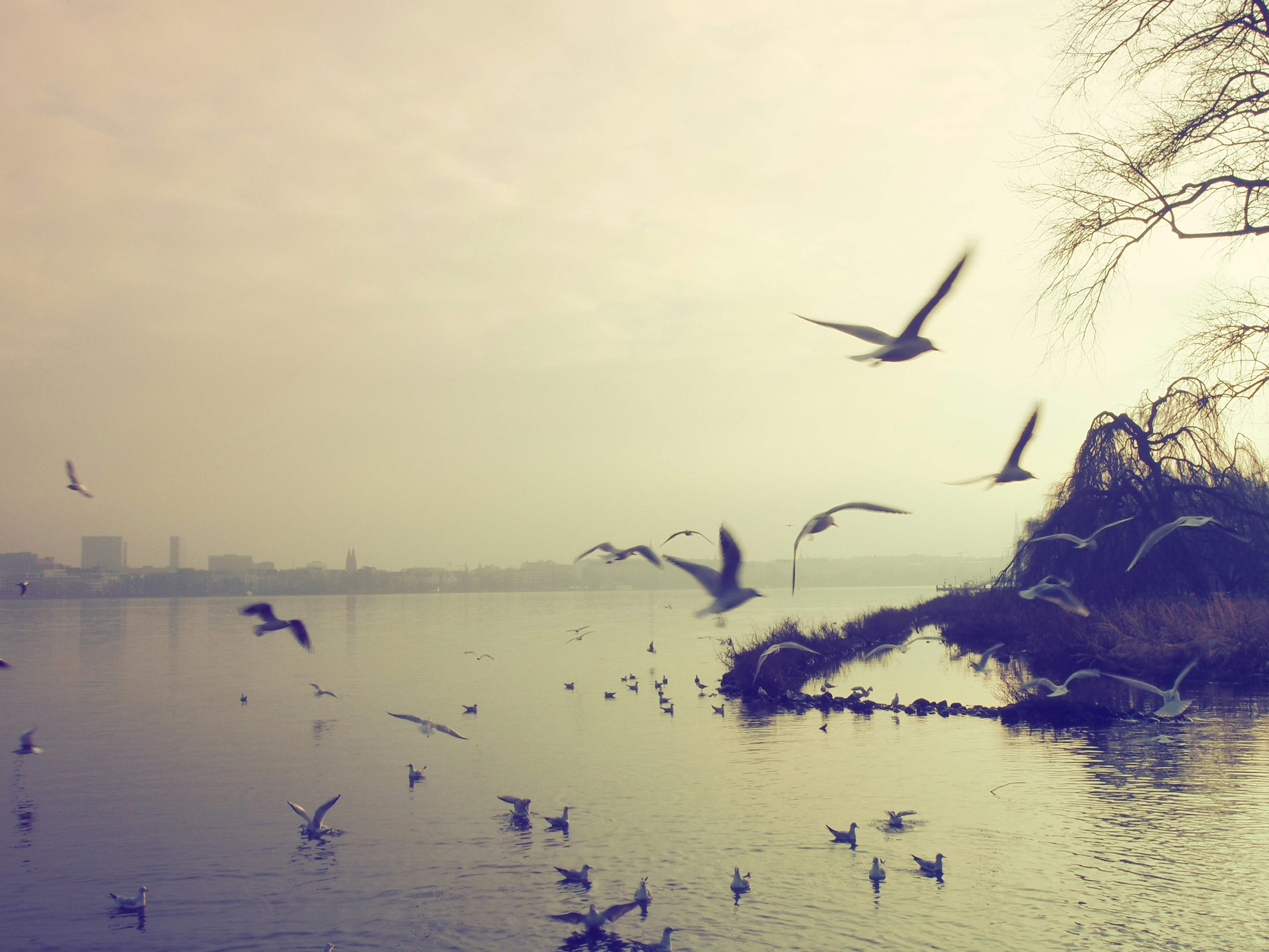 Free Unsplash photo from Florian Schleinig