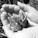 A caregiver gently holding a baby bird in a safe environment.