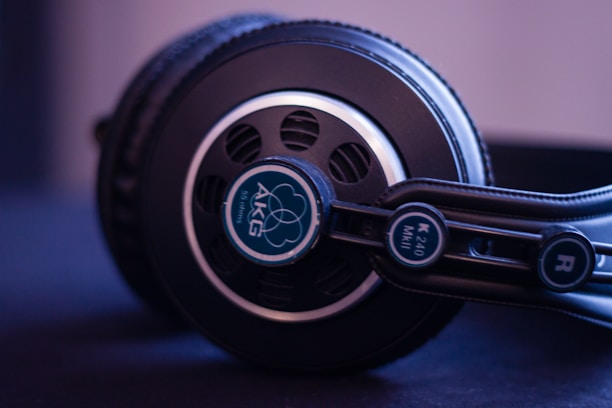 A close-up view of a pair of black over-ear headphones with visible branding and model details. The focus is on the side of the headphones, illuminating the silver ring and the logo's intricate design on the ear cup.