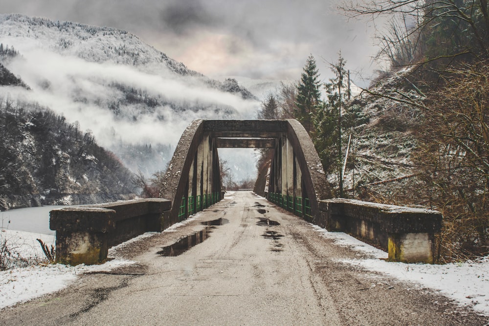 gray concrete arch bride beside leafless tree near mountain range