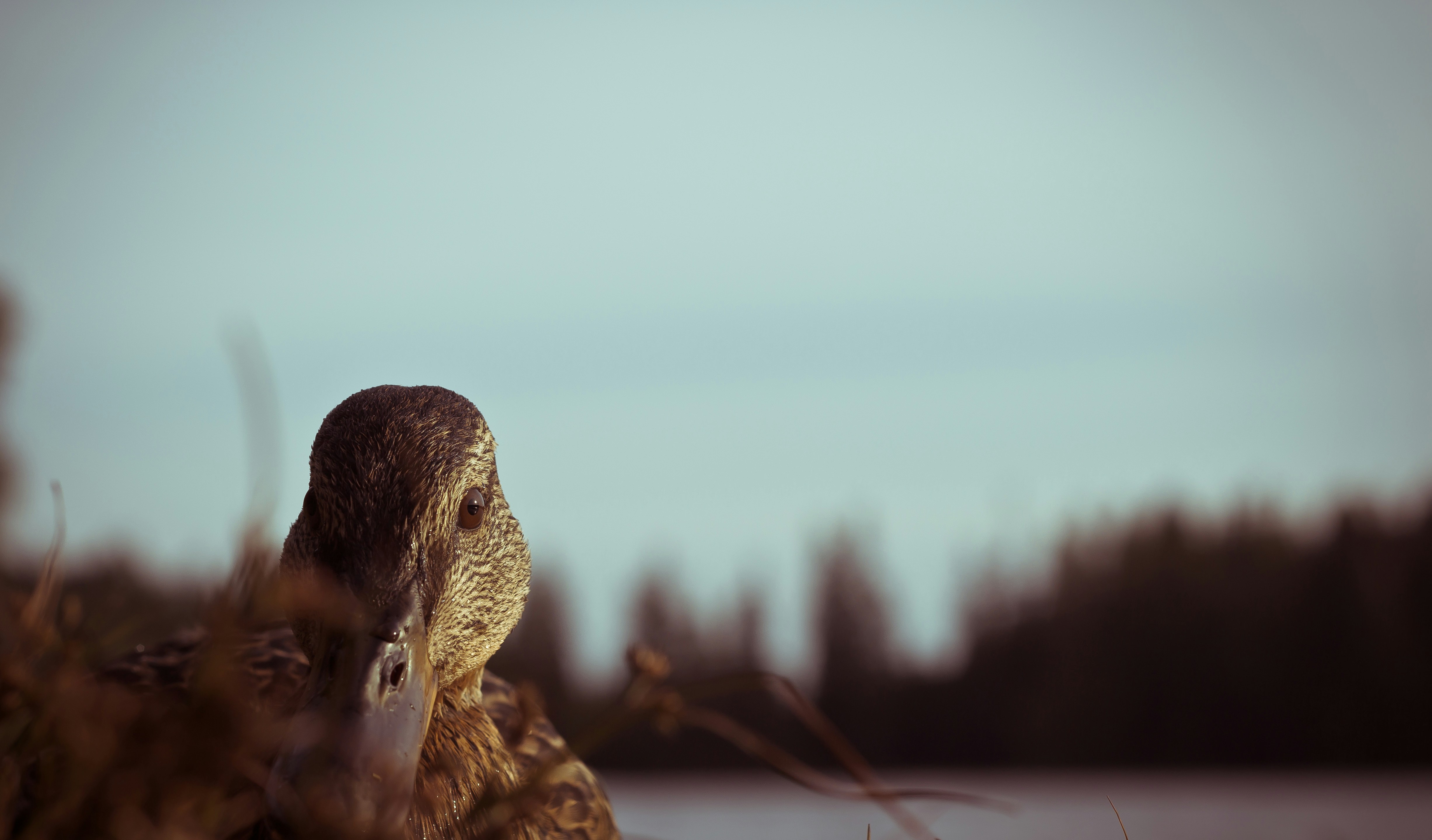 Free Unsplash photo from Ole Tom Risøy