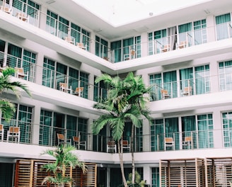 coconut palm trees in hotel lobby