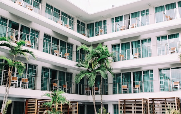 coconut palm trees in hotel lobby