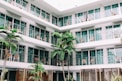 coconut palm trees in hotel lobby