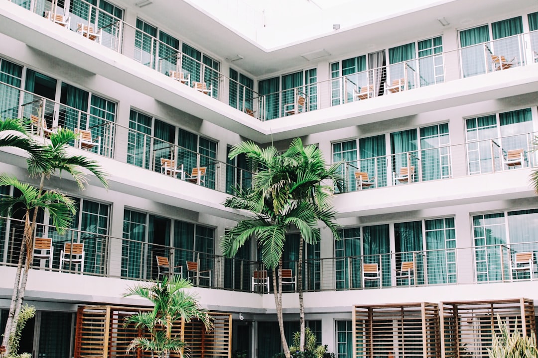 coconut palm trees in hotel lobby,