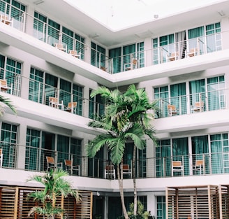 coconut palm trees in hotel lobby