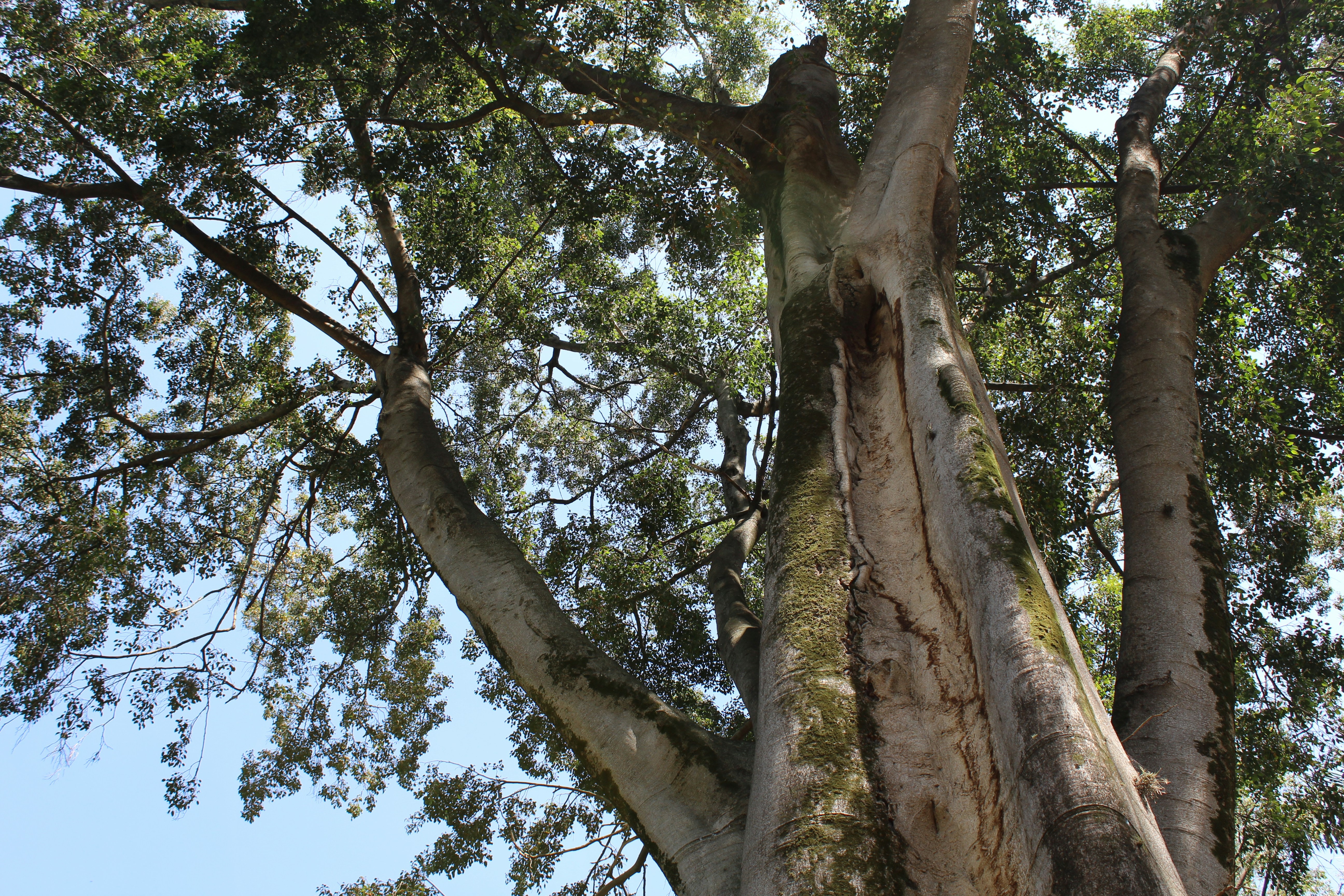 Free Unsplash photo from Jhon David