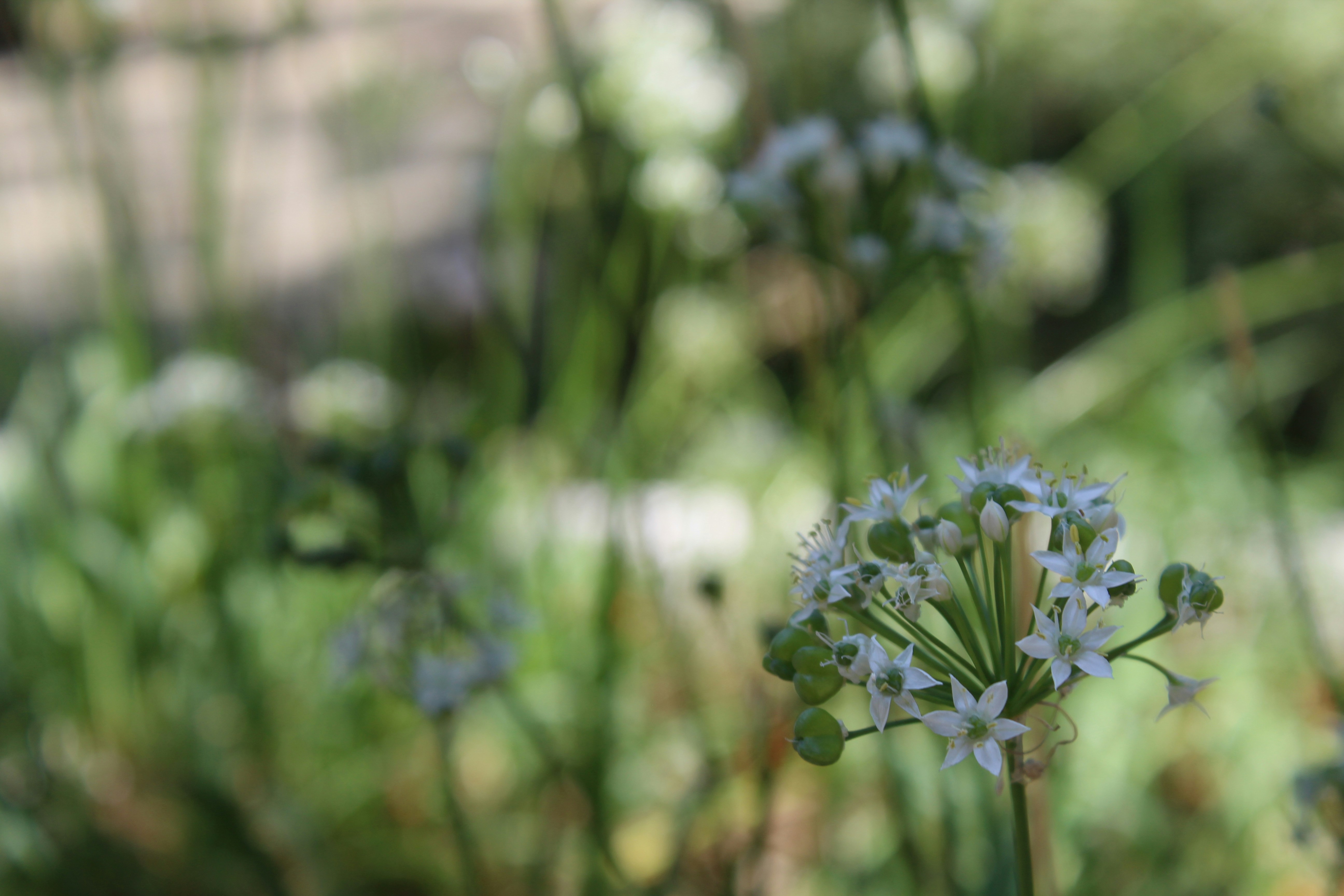 Free Unsplash photo from Jhon David