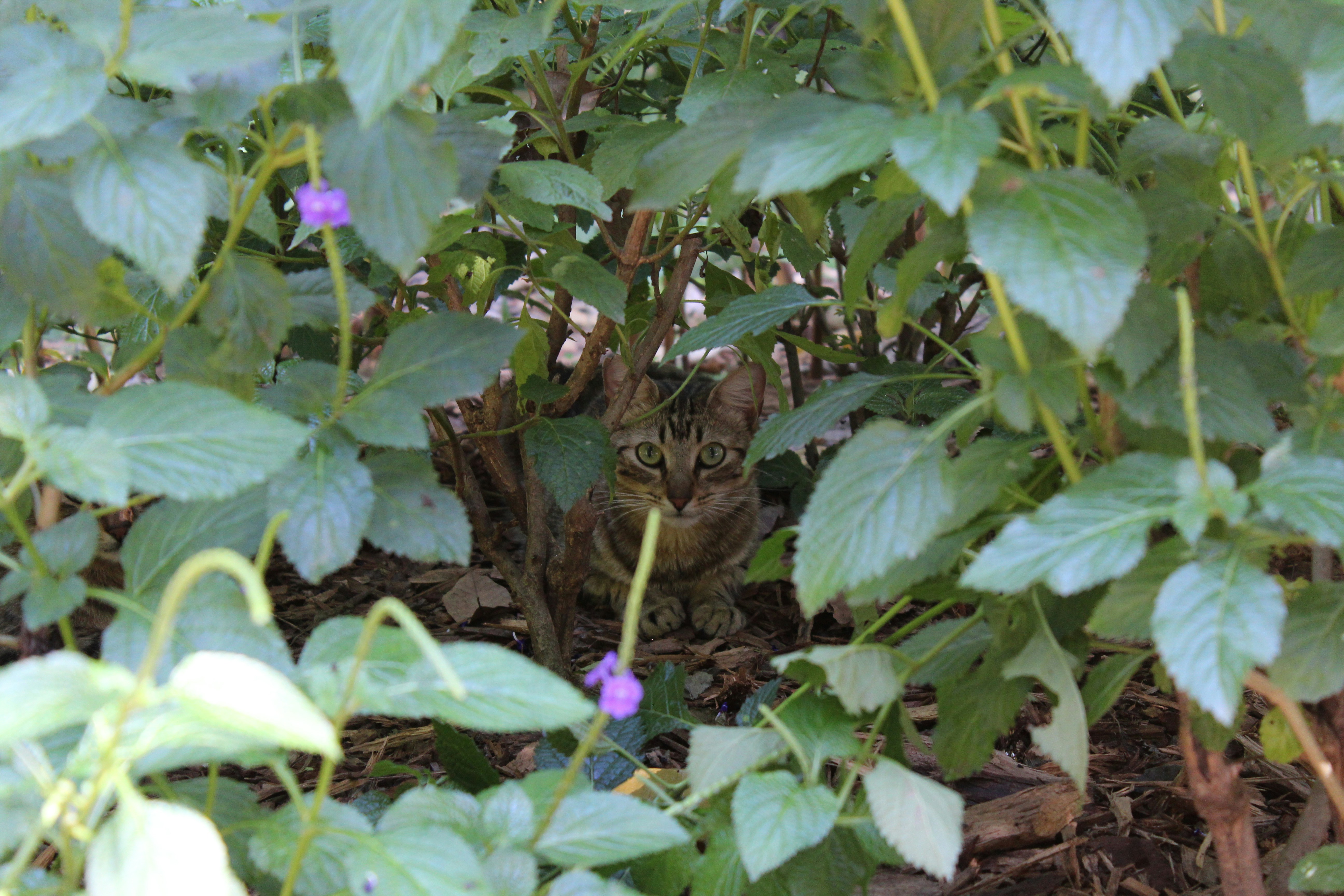 Free Unsplash photo from Jhon David