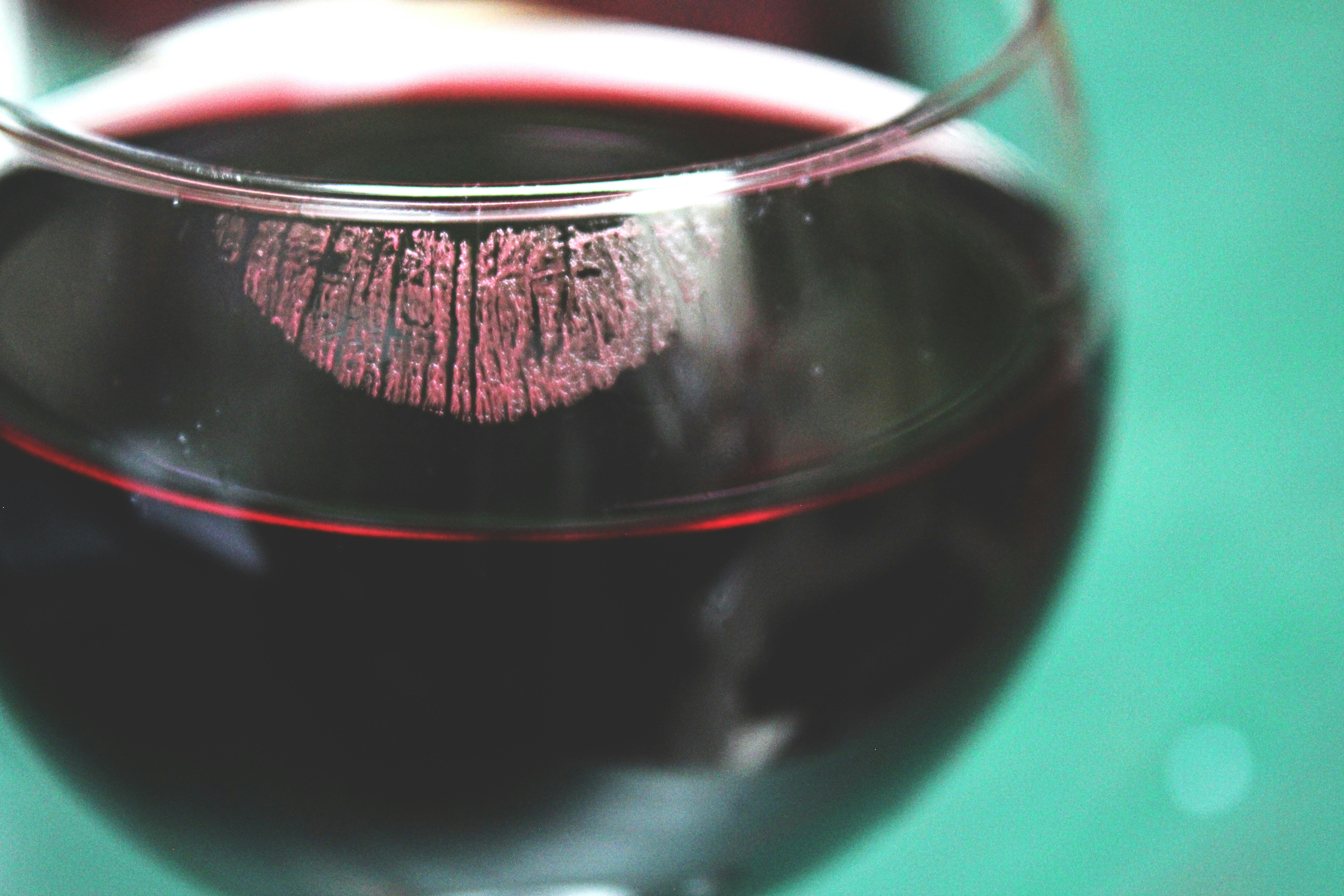 Free Unsplash photo from Anja