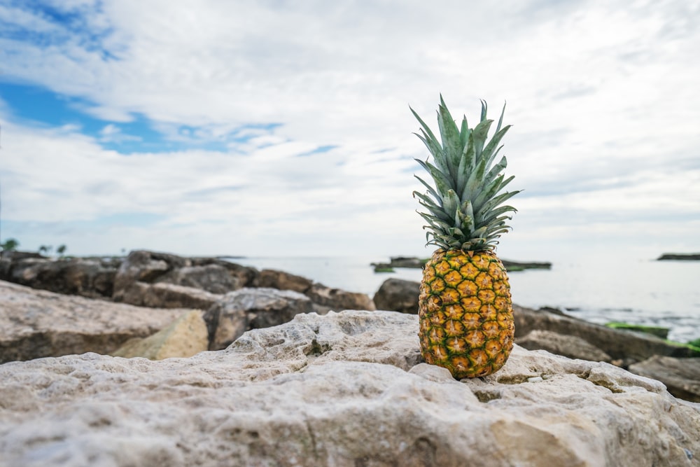 pineapple on stone near body of water