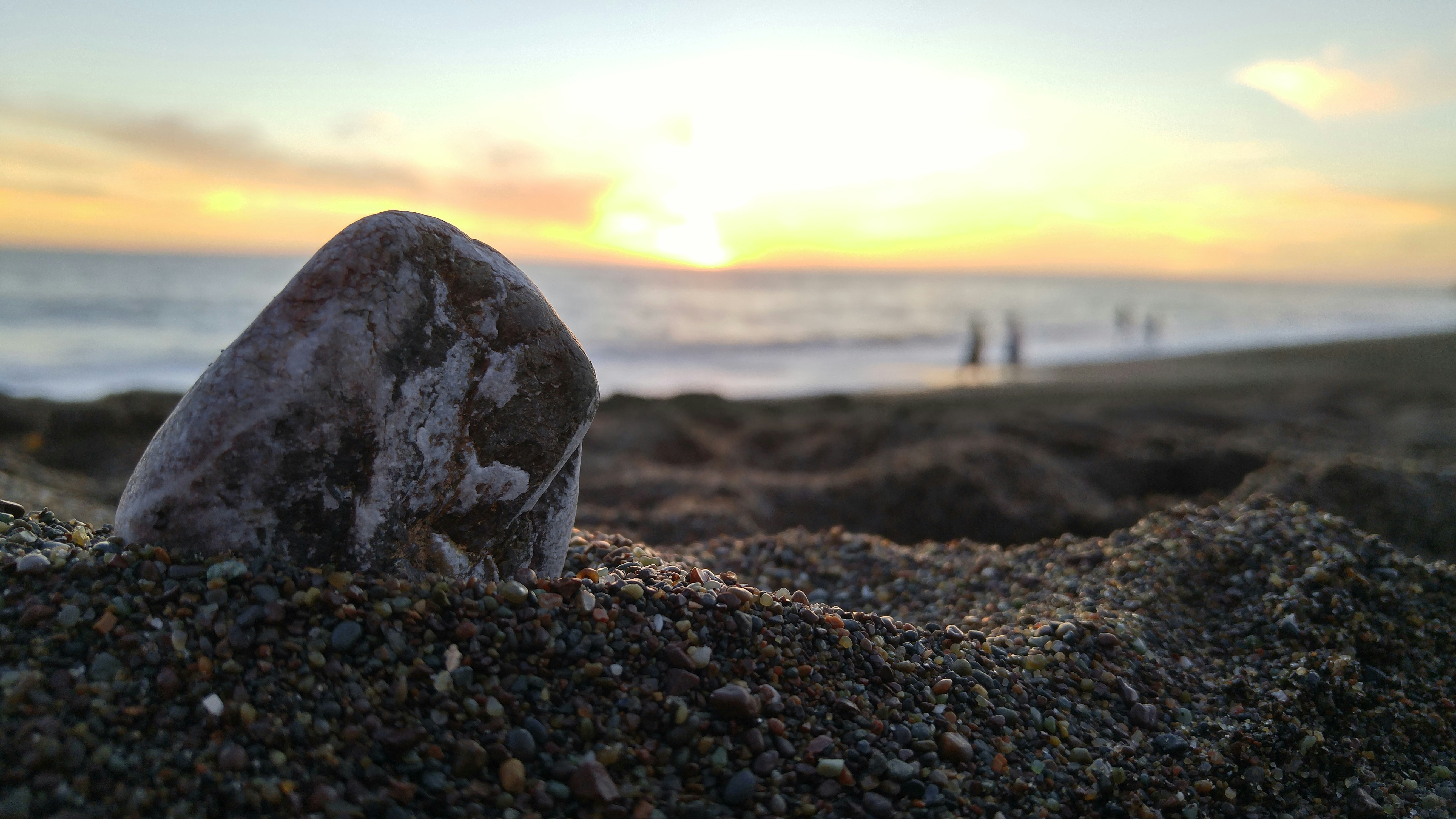 Free Unsplash photo from Riley McCullough