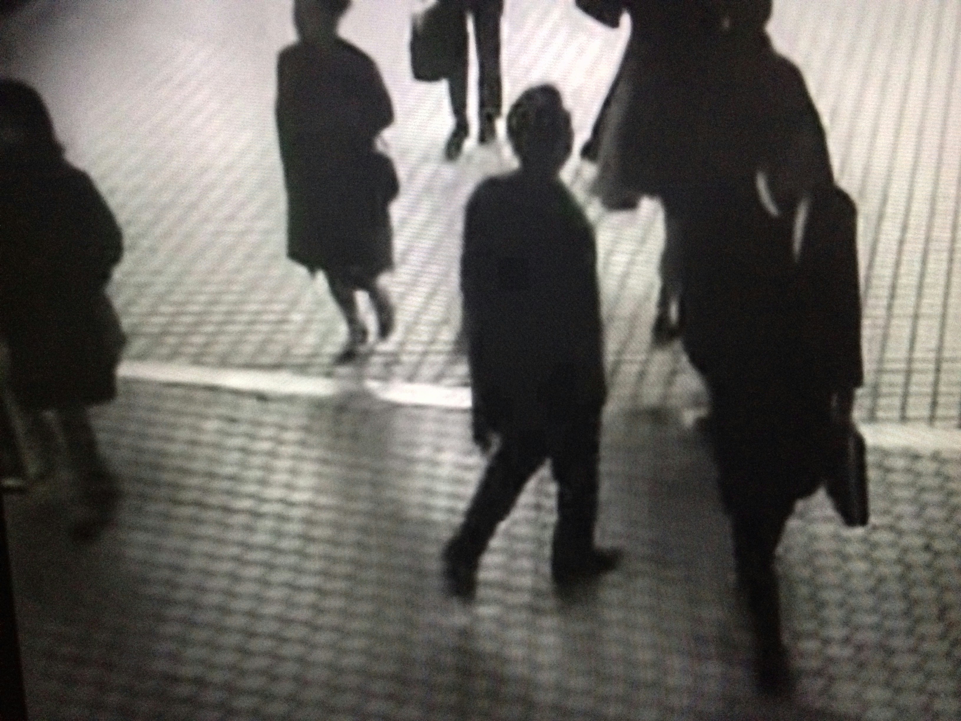 Free Unsplash photo from alexandra stratan