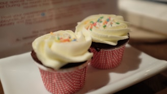 Two chocolate cupcakes with creamy white frosting, topped with colorful sprinkles, are placed on a white rectangular plate. The cupcakes are in red and white polka dot wrappers.