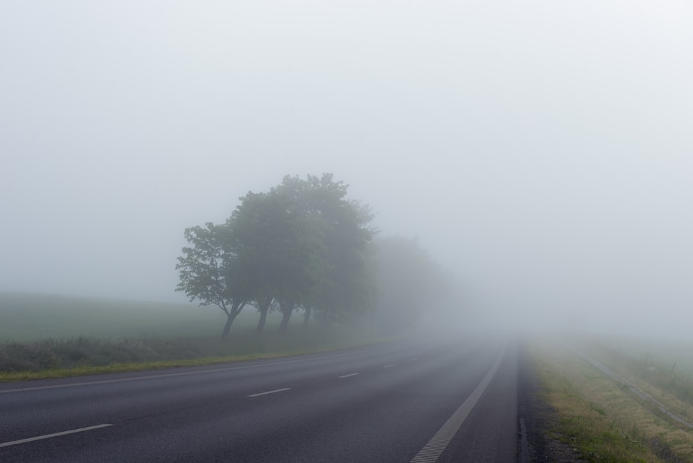 landscape photography of freeway surrounded with fogs