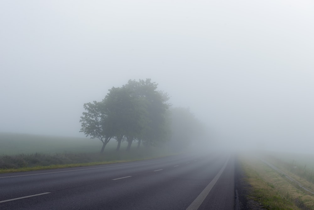 fotografia de paisagem da autoestrada rodeada de nevoeiros