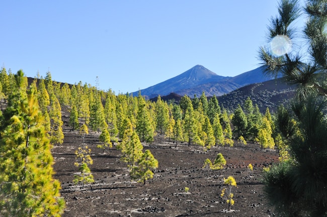 A serene volcanic landscape showcasing natural beauty.