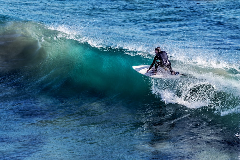 낮에는 푸른 바닷물에 둘러싸인 흰색 서핑 보드에 있는 사람