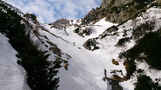 photo of Bucegi Mountains Glacial landform near Bran