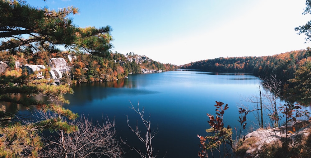 calm blue body of water\