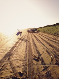 gray SYV near shore