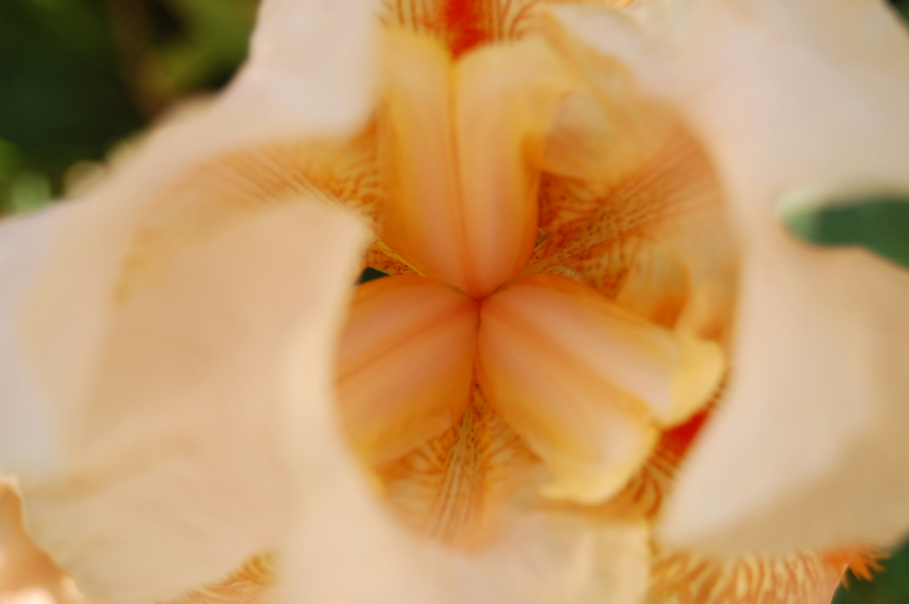 Free Unsplash photo from Gabriela Parra