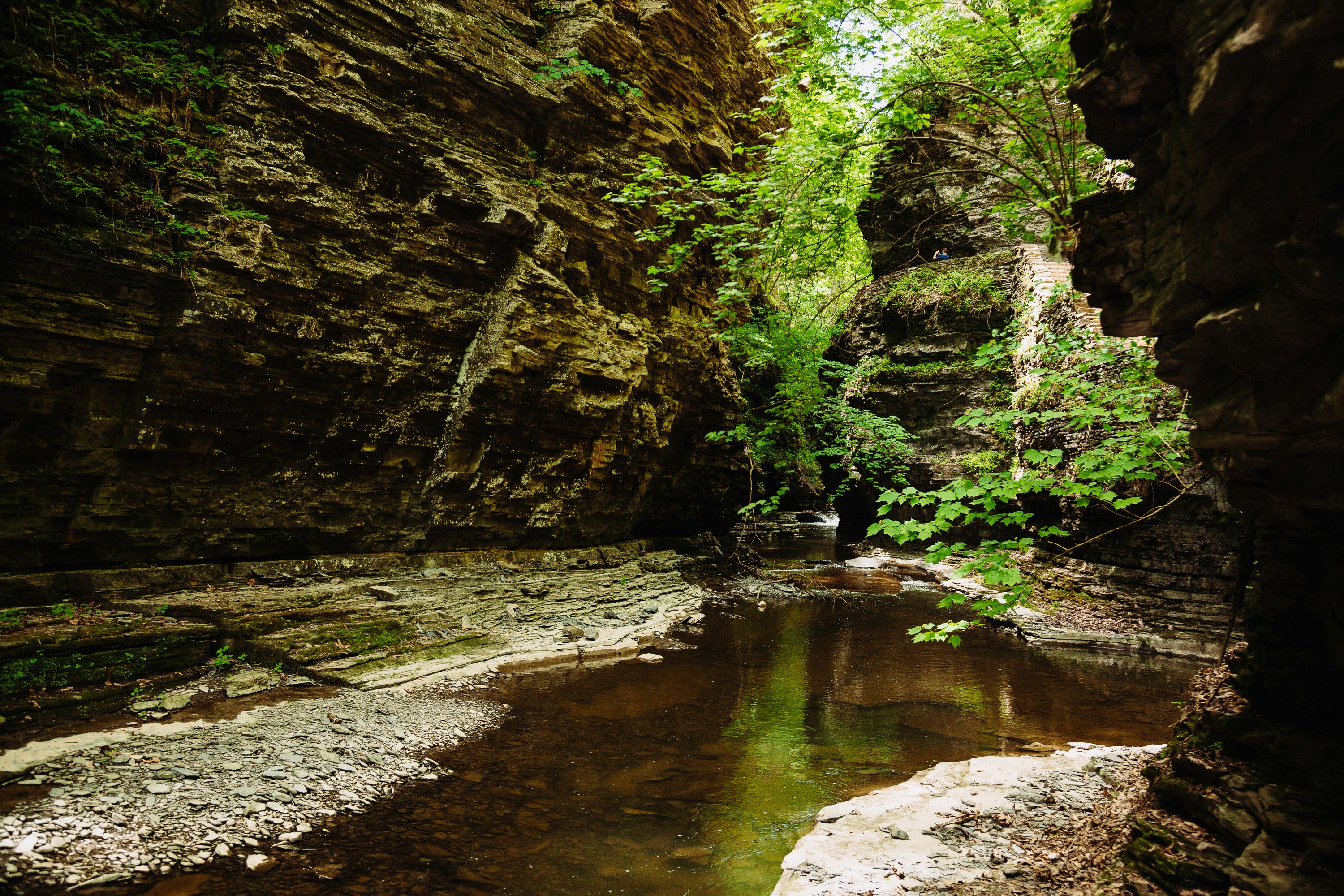 Free Unsplash photo from Ben Duchac