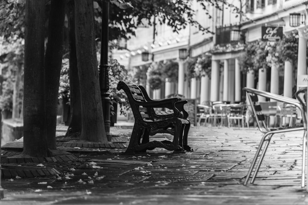 grayscale photography of wooden bench