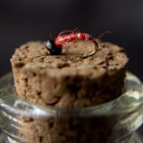 A close-up view of a fishing fly placed on the top of a cork stopper. The fly has a vibrant red body with some black and metallic elements, likely representing a small insect or creature. The cork stopper is light brown with a rough texture, set atop a glass container.