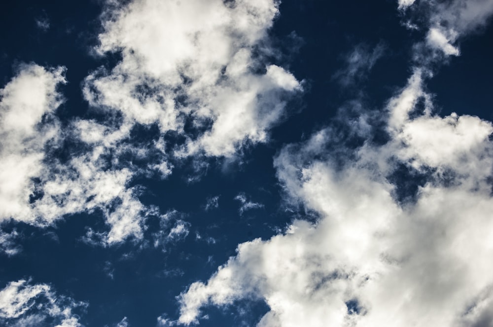 low angle photography of blue sky