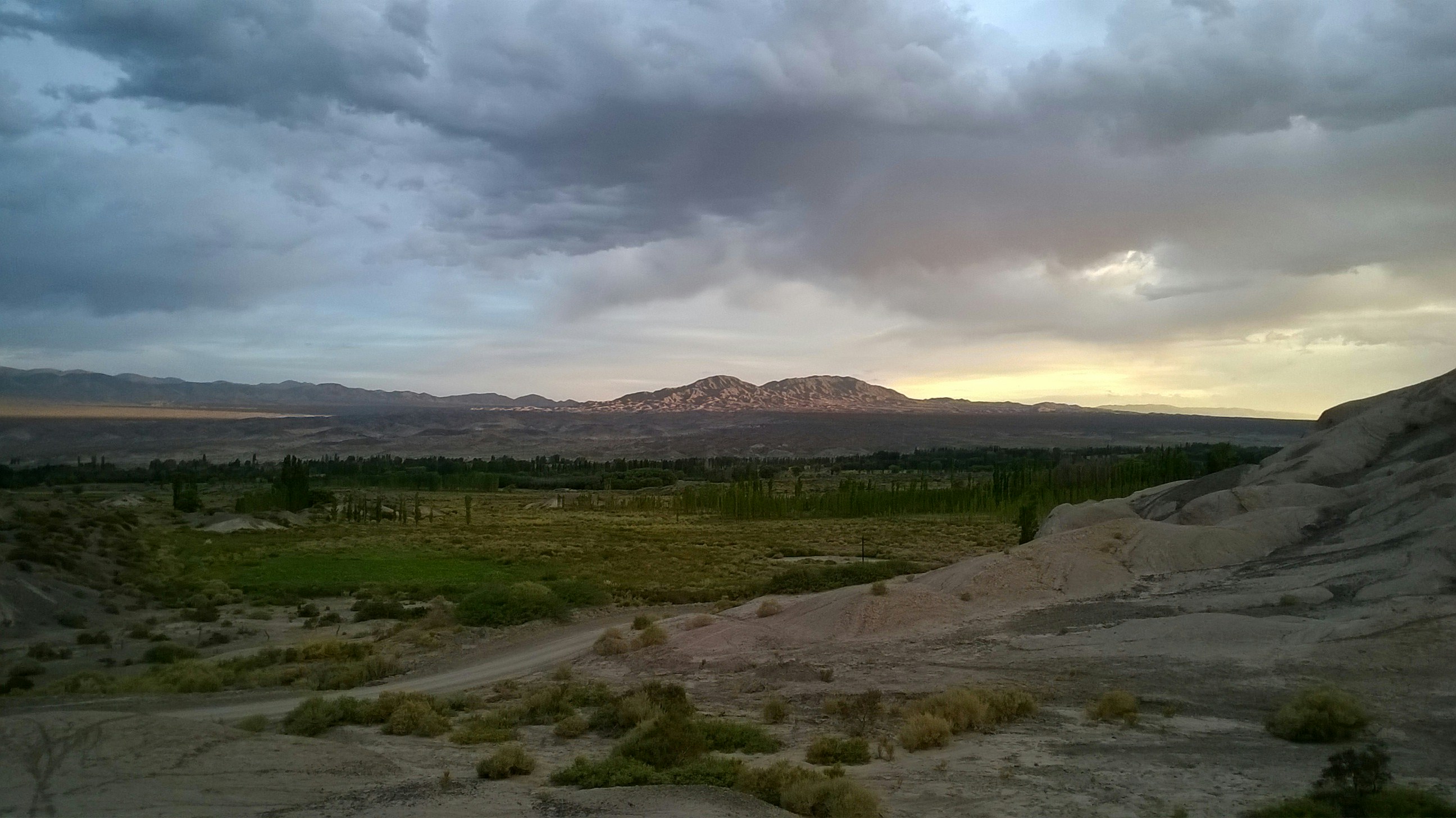 Free Unsplash photo from Gabriela Parra