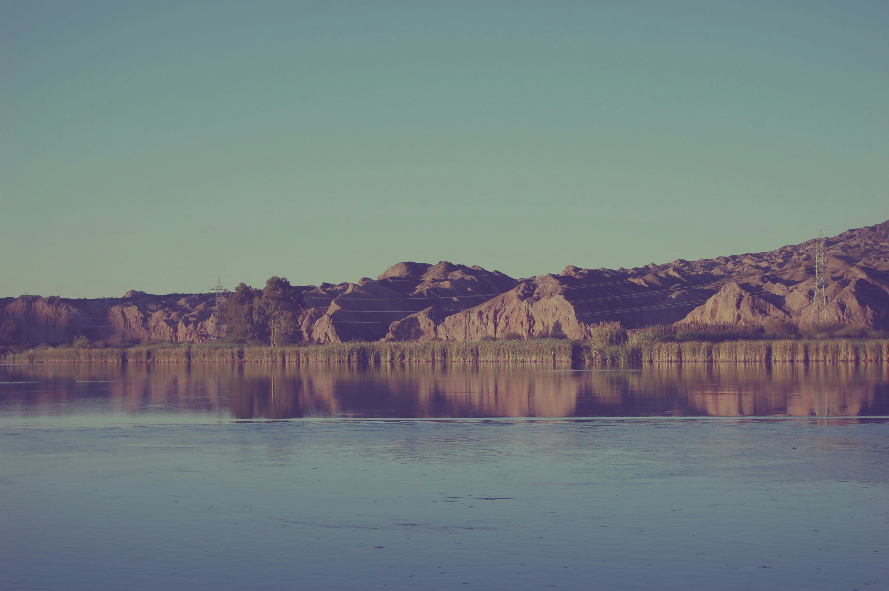 Free Unsplash photo from Gabriela Parra