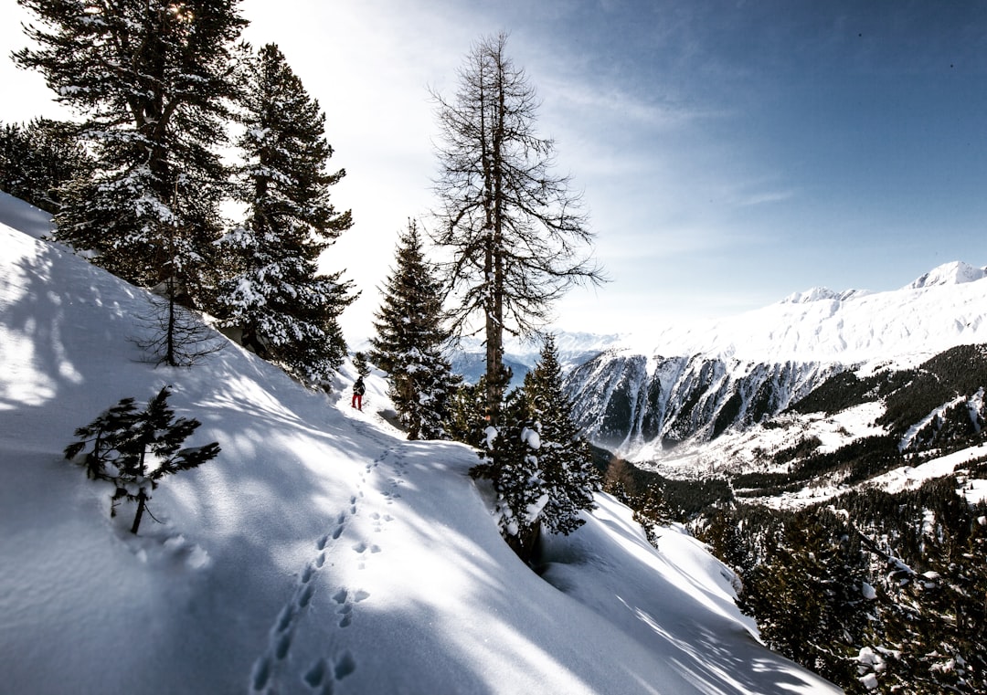 Mountain photo spot Aletsch Glacier Piz Mundaun