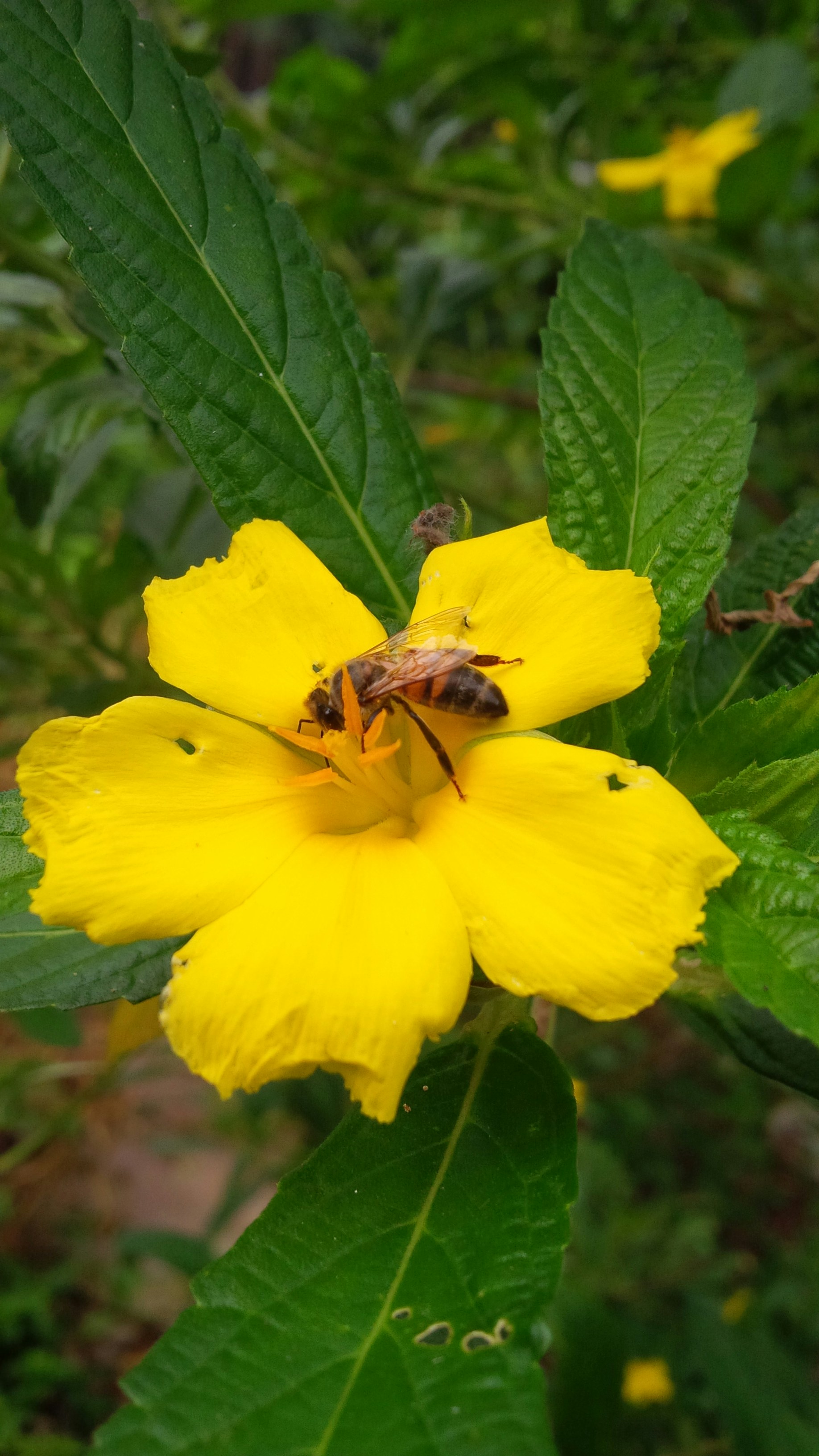 Free Unsplash photo from Kadesha White