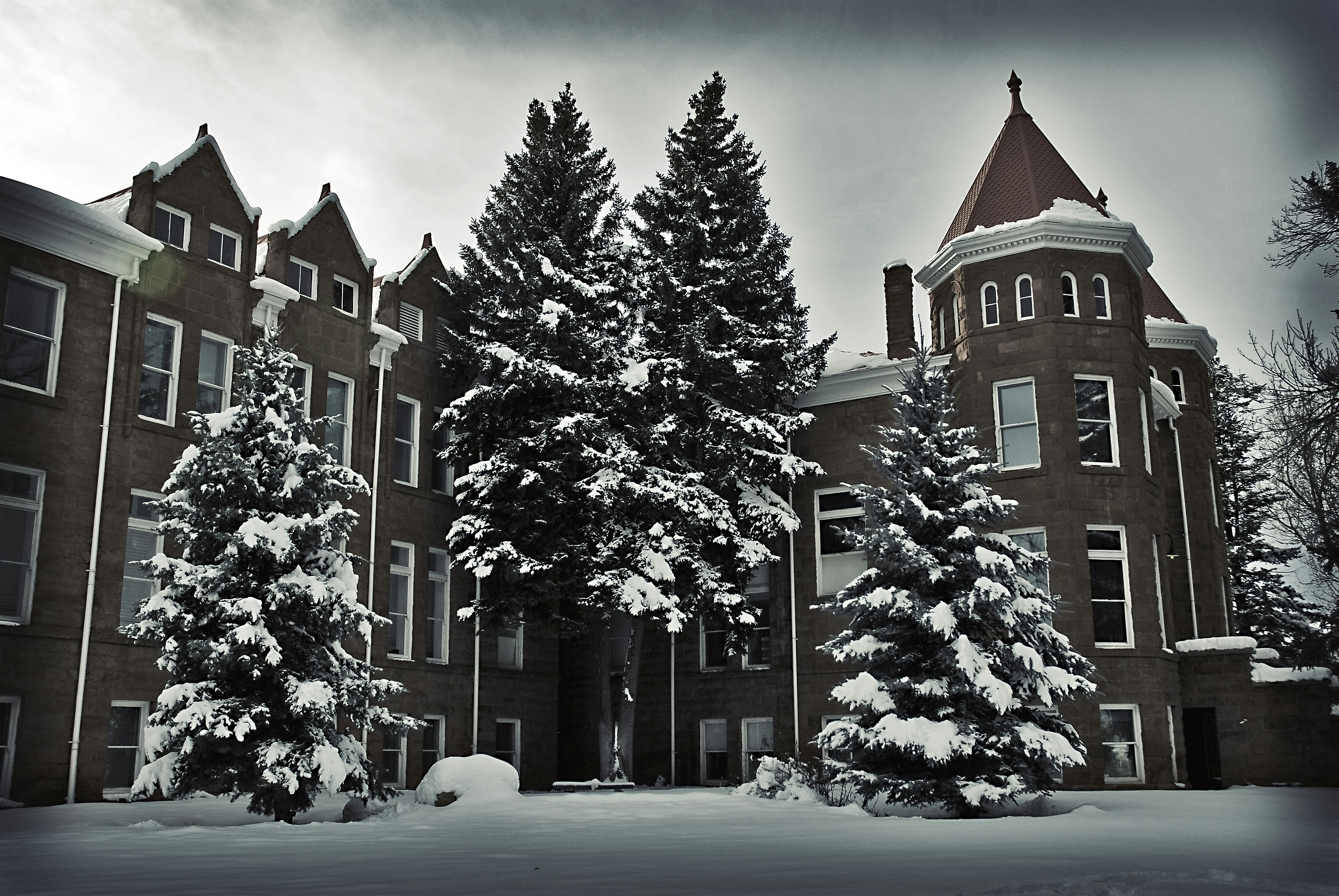 Photo By Dawn Armfield