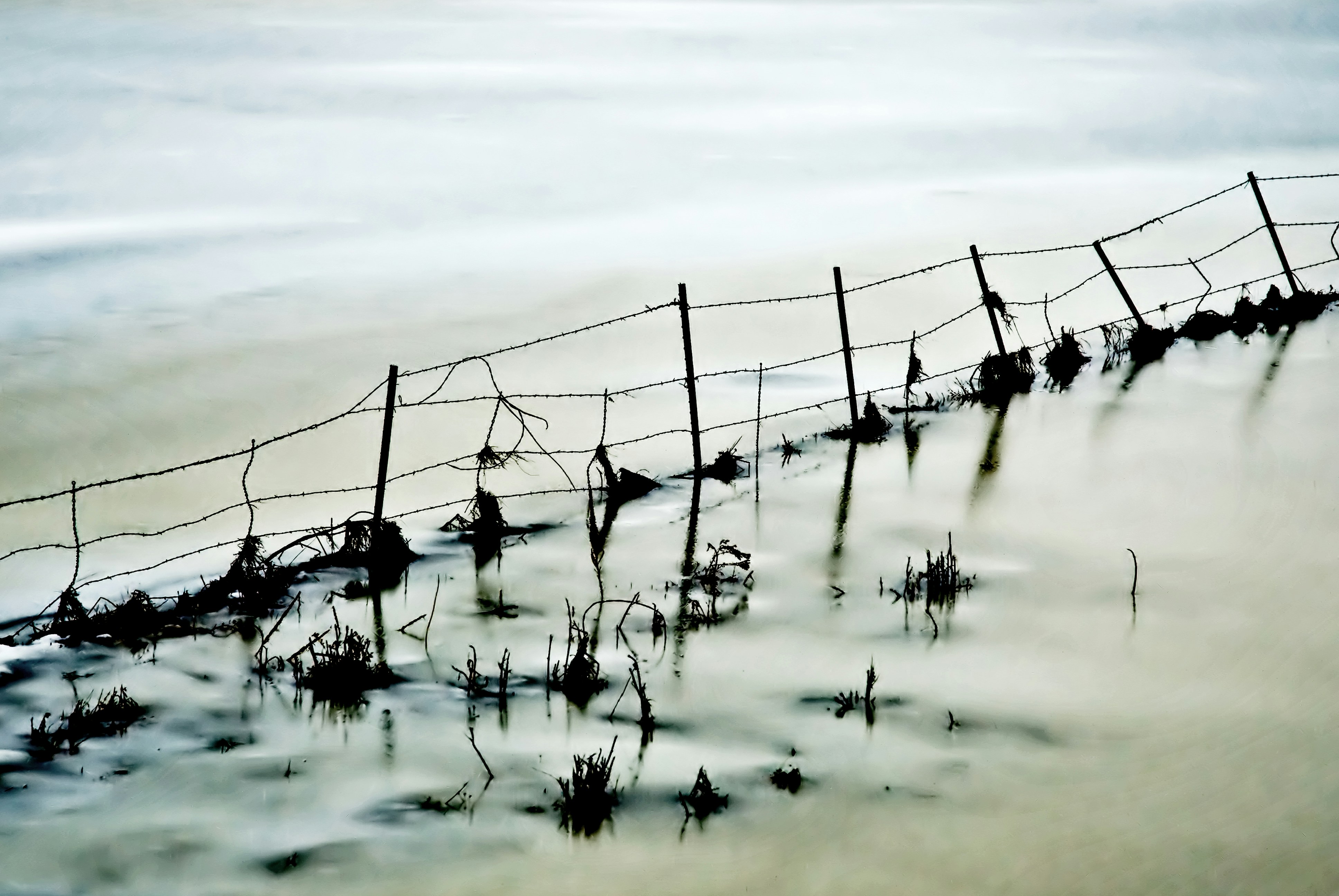 Photo By Dawn Armfield