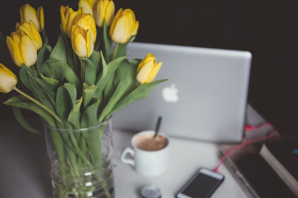 yellow tulips in glass vase