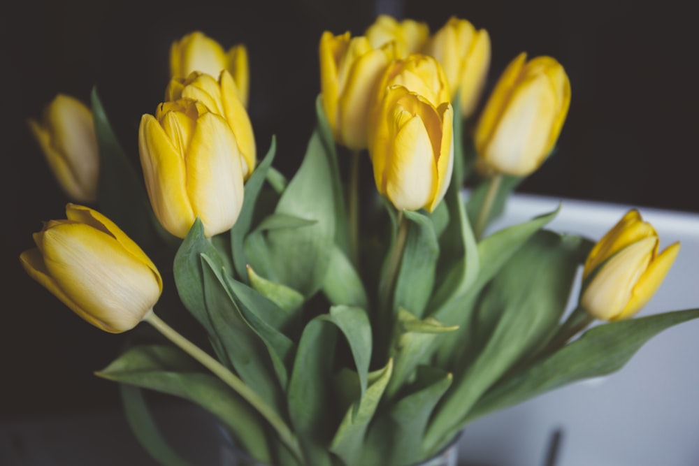 fleurs jaunes