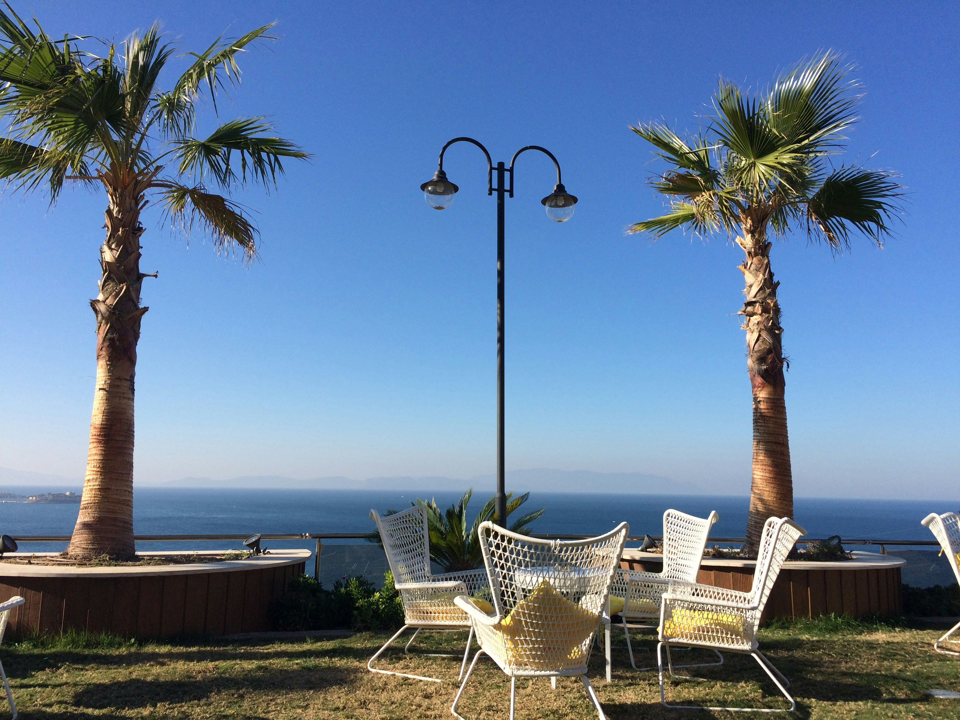 Free Unsplash photo from Sagar Mehta