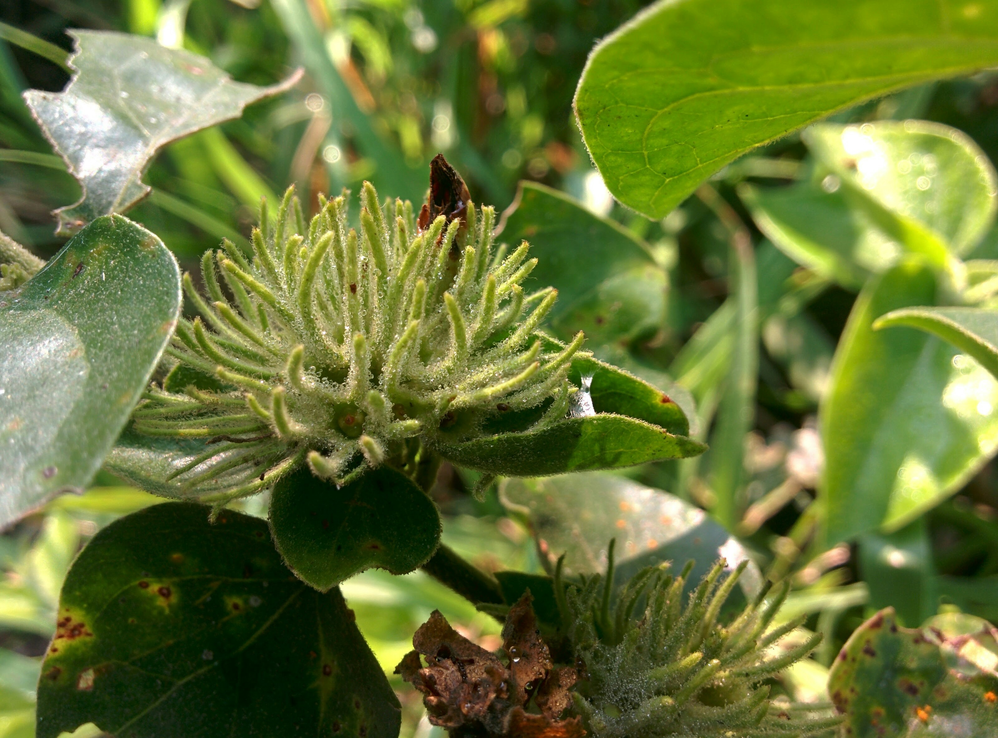 Free Unsplash photo from Raghav Poojari