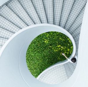 woman standing spiral stairs